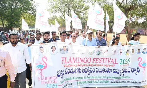 Pulicat Festival To Promote Trekking, Eco-tourism