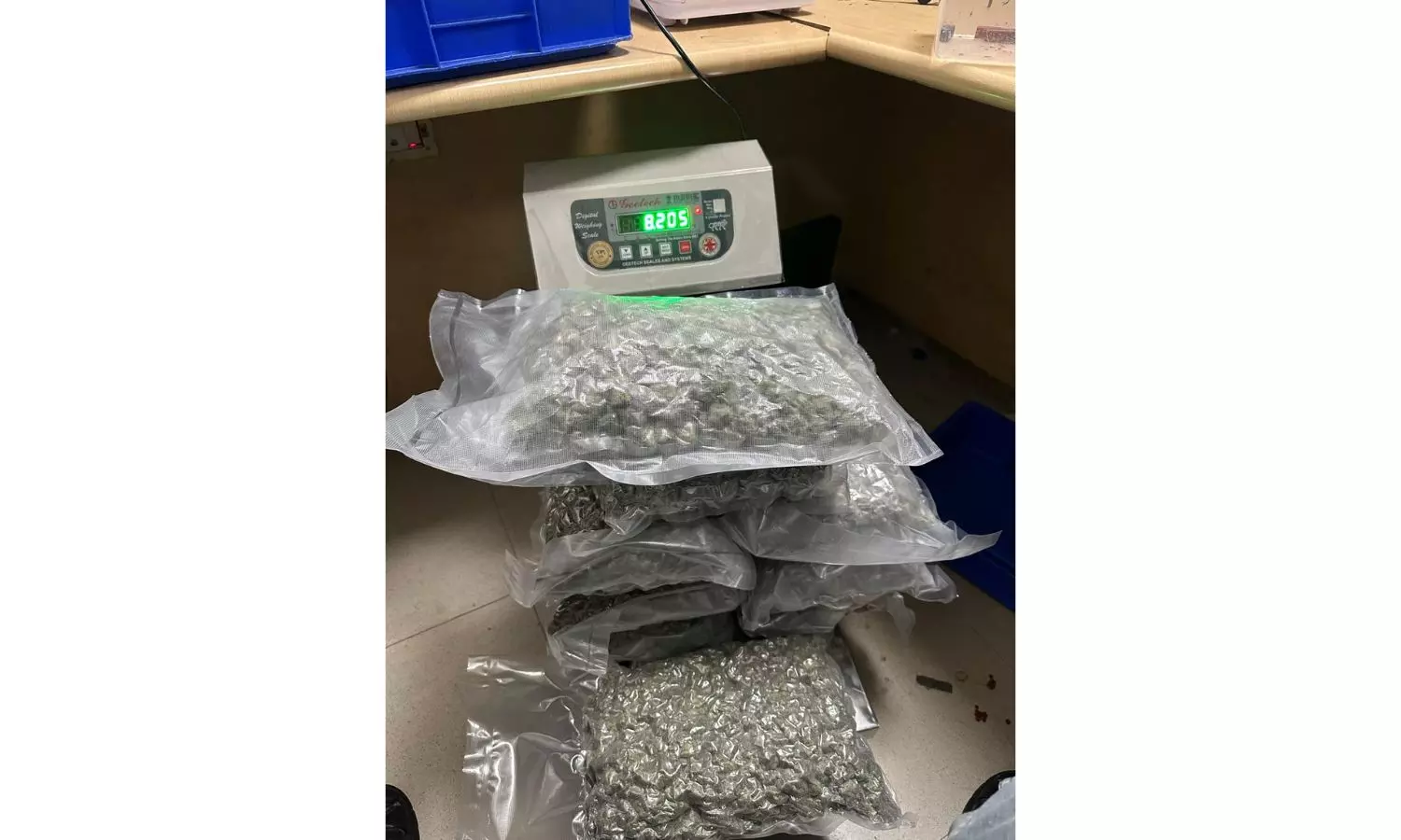 Marijuana Worth Nearly Rs 8 cr Seized At Delhi Airport; 2 Passengers Arrested Marijuana Worth Nearly Rs 8 cr Seized At Delhi Airport; 2 Passengers Arrested