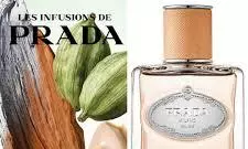 Prada Launches Chai-Inspired Perfume With Cardamom Fusion