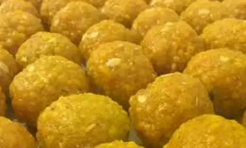 Nellore ACB Court Denies Anticipatory Bail To External Dairy Expert In Laddu Ghee Case