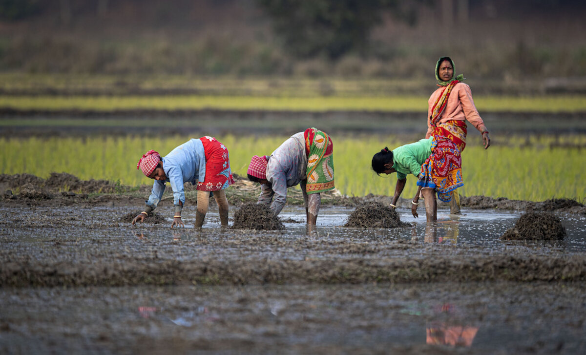 Empowering Women Farmers Worldwide for Agricultural Growth