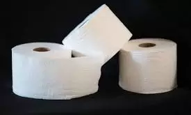 Eco-Friendly Toilet Papers Have Varied Actual Environmental impacts