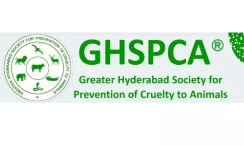 GHSPCA: Chinese Manja Threatens Birds During Sankranti