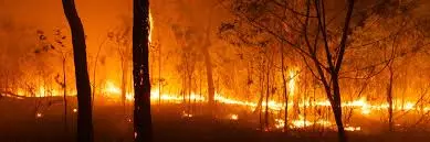 Human Remains Found Amid Australia Bushfires, Police Say Human Remains Found Amid Australia Bushfires, Police Say