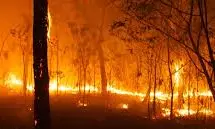 Human Remains Found Amid Australia Bushfires, Police Say Human Remains Found Amid Australia Bushfires, Police Say