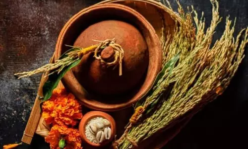 Kites, Sweets and Togetherness: Poush Parbons Link to Pan-Indian Sankranti