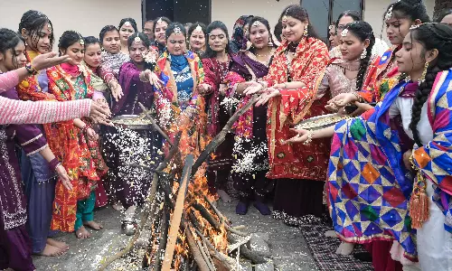 Celebrating Lohri: Festival of Culture and Harvest in Northern India