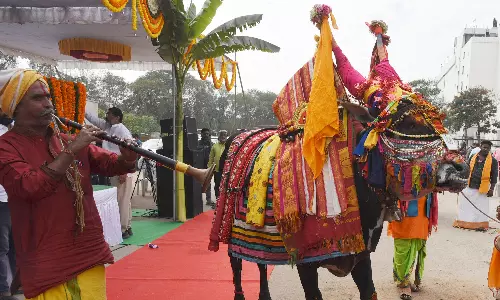 One Group of Almanac Writer Followers Celebrated Sankranti