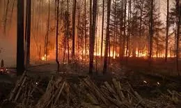 Forest Fire Along LoC Triggers Landmine Blasts; Kashmir Logged 310 Forest Fires in 2025