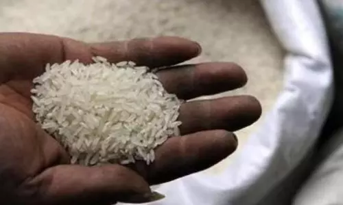 Miller Gets 3 Year Jail For 3 Crore Rice Fraud