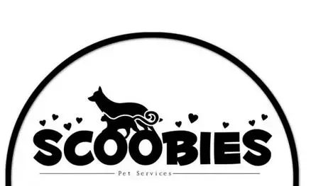 Sankranti Travel Packs Pet Homes in Hyderabad Sankranti Travel Packs Pet Homes in Hyderabad