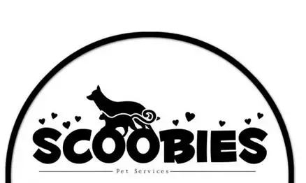 Sankranti Travel Packs Pet Homes in Hyderabad