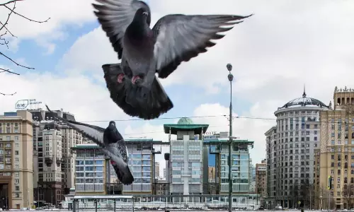 British Diplomat Expelled From Moscow Embassy Over Spying Claims