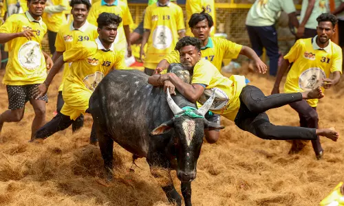 Drone Ban in Madurai Ahead of CM Stalin’s Jallikattu Visit