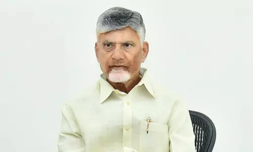 AP Marks Major Milestone in Global Clean Energy Sector: Naidu