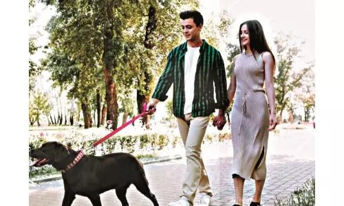 Latest Health Goal, a Post Meal Stroll