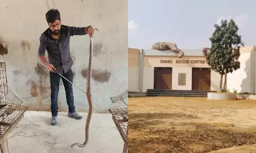 Cobras Top List of Rescued Snakes in Telangana