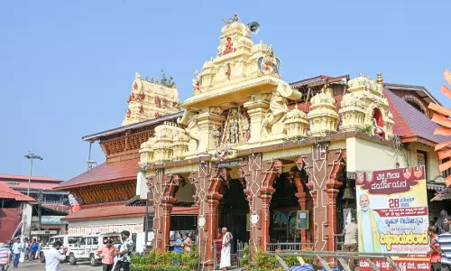 Dress Norms To Be Followed Throughout The Day At Sri Krishna Math