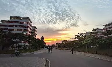 IIT Hyd To Ramp Up Its Green Power Use, Cut Emissions