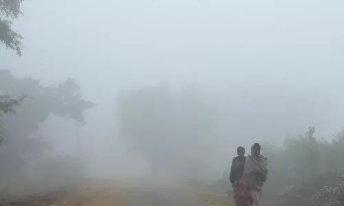 Coastal Districts to Have Fog for Two More Days; Flights Affected