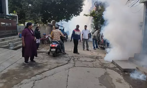 NMC’s Special Drive Against Mosquitoes, Stray Dogs, Roadside Cattle, Monkeys