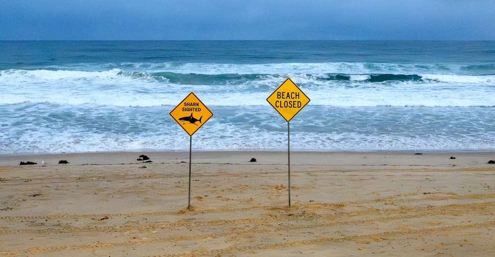 Australia Closes Beaches After Shark Attacks