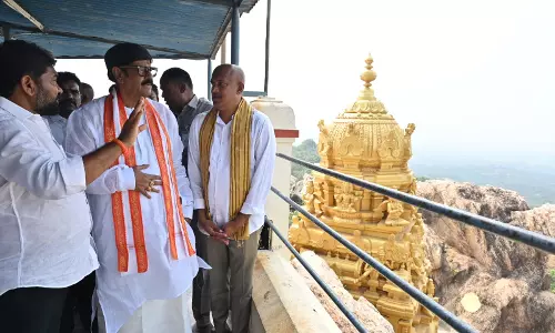 100-Acre Green Energy Project Planned at Narasimhakonda