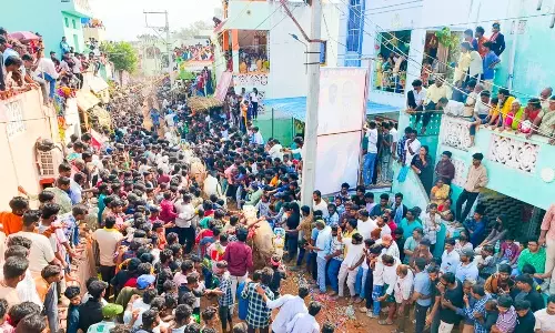 Bull-Taming Sport Marks ‘Pasuvula Panduga’ at A. Rangampeta