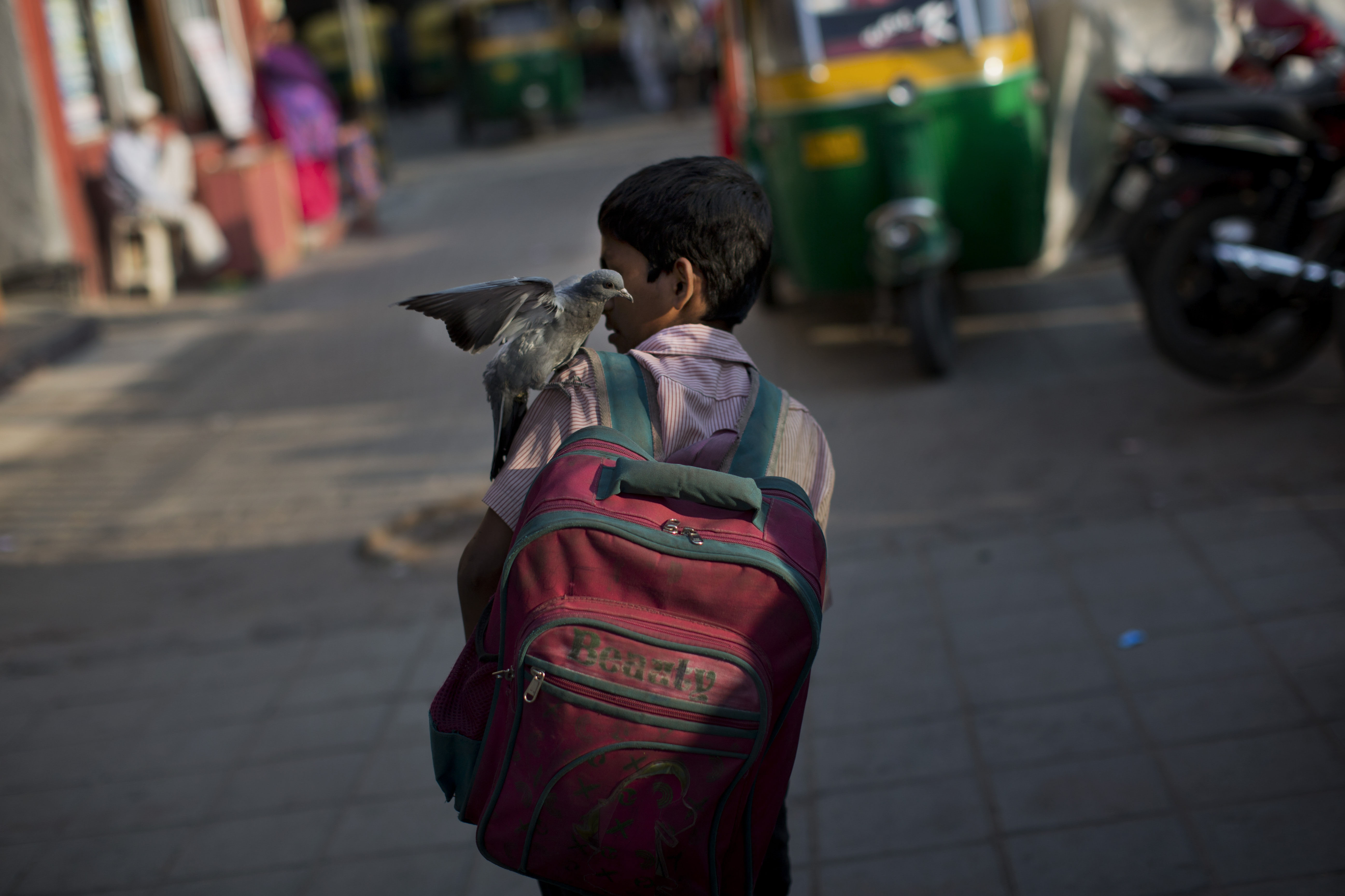 Inquiry Clears Private School in Palakollu Fee Row