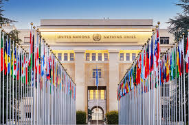 Global Conflicts and Social Movements in 2025