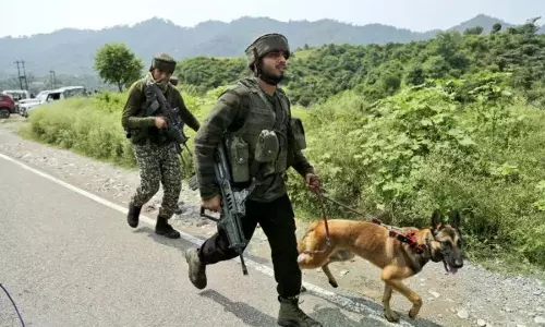 Atmanirbhar on Four Legs: Indigenous Breeds Powering India’s Defence