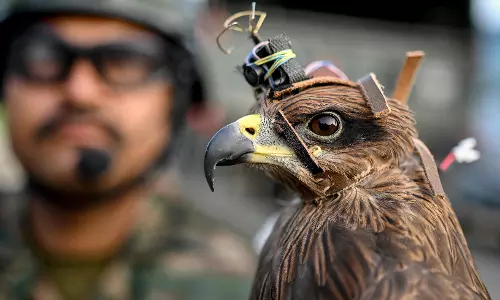 Silent Warriors of the Republic: The Animals Who Guard India’s Frontiers
