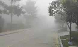 Weather Forecast and Prayer Timings for Sunday, January 25, 2026