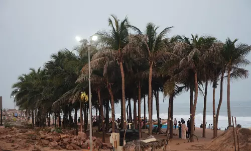 Srikakulam Leads In AP’s Coastal Protection Great Green Wall Project