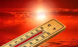 World Not Ready For Rise In Extreme Heat, Scientists Say