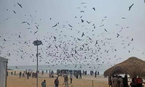 A Lit-fest Divided Equally Between Malayalam and English