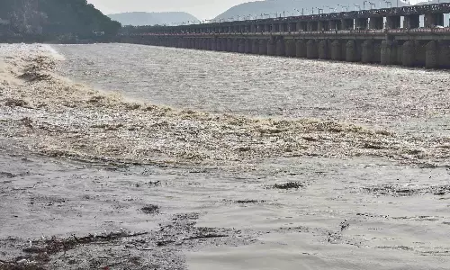 Call for Joint Study To Identify Source of Pollution in Krishna River