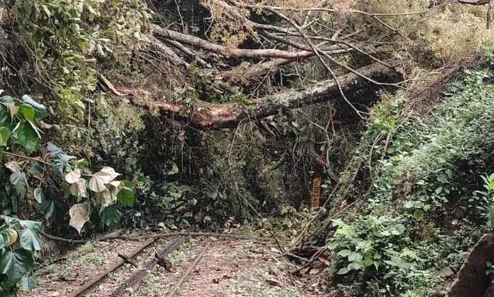 Call To Study Geo-Stability Of Slopes Along NMR Track