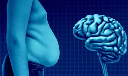 Obesity’s Impact on Brain Depends on Fat Distribution: Study