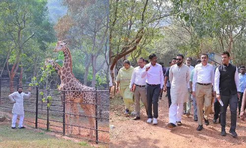 Pawan Kalyan Adopts Two Giraffes From Vizag Zoo On Mothers Birthday