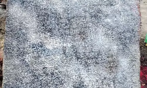 ASI Finds 14th-Century Telugu Inscription at Ravvaram Village in Palnadu