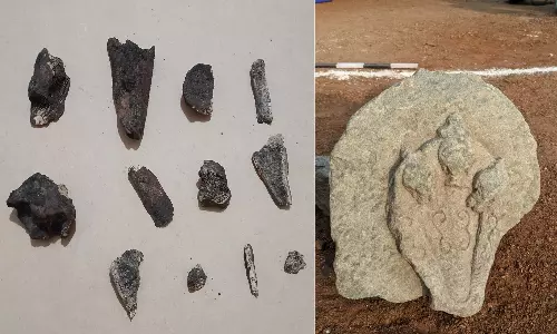 Naga Sculpture, Terracotta Object Found At Lakkundi Site