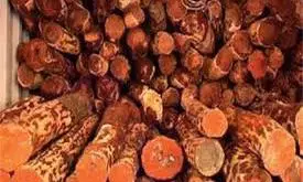 Red Sanders Smuggler Sentenced To Five Years’ RI, Fined ₹6 Lakh
