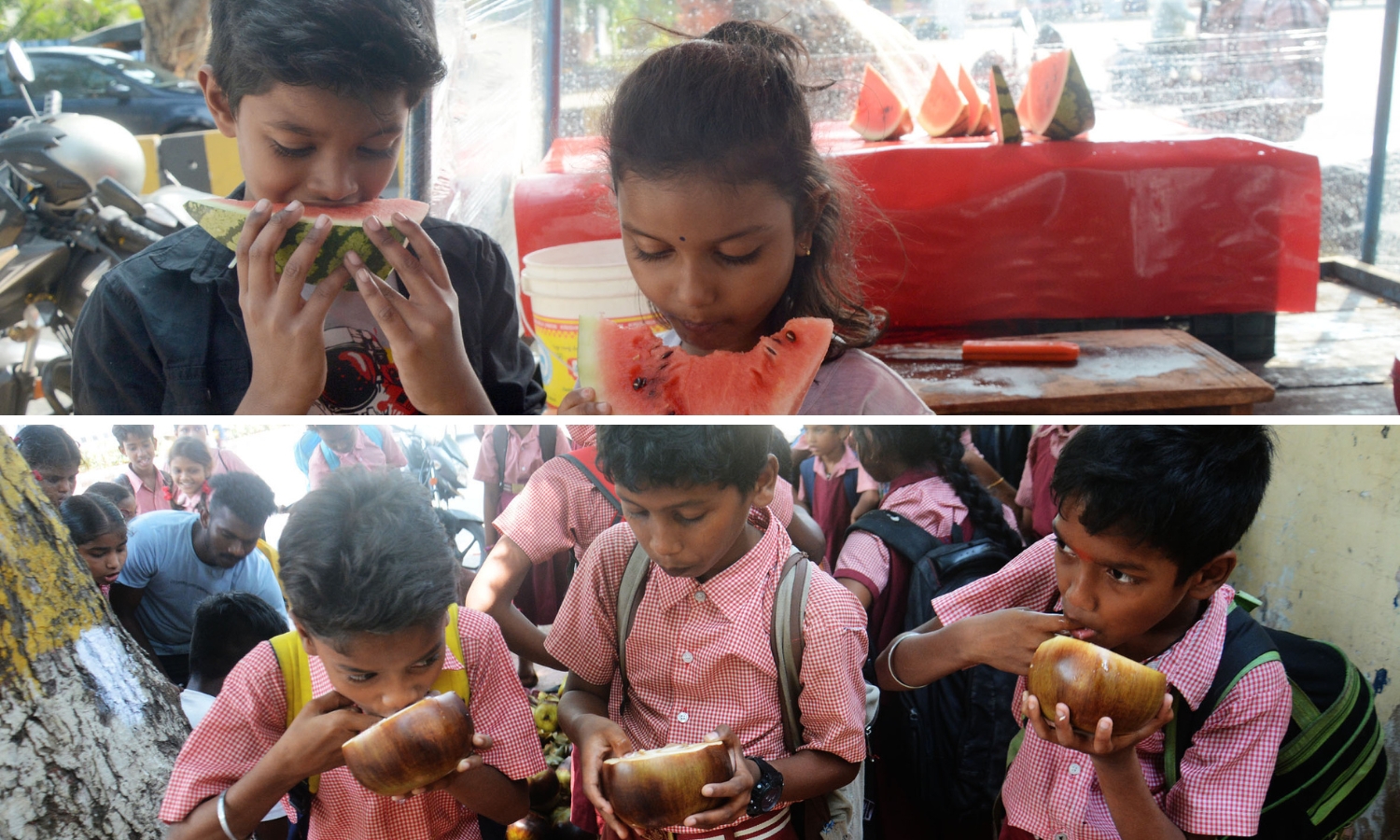 Summer Fruits Arrive Early in 2026
