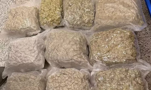 DRI Seizes 27.15 kgs of Hydroponic Weed worth Rs.9.5 Cr at RGIA