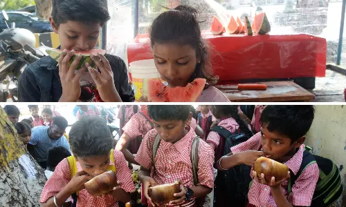 Summer Fruits Arrive Early This Year, Bringing to Table Colourful Flavours