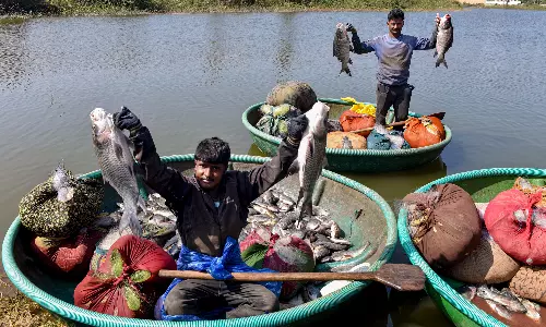 Union Budget Brings No Benefit to Karnataka: Deputy CM Shivakumar