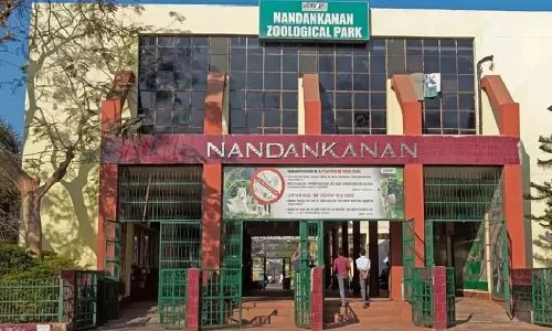 Five Crocodiles Die At Odisha Zoo, Probe Ordered