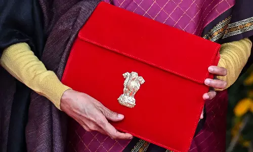 Bouquet of Goodies for AP in Central Budget Bouquet of Goodies for AP in Central Budget