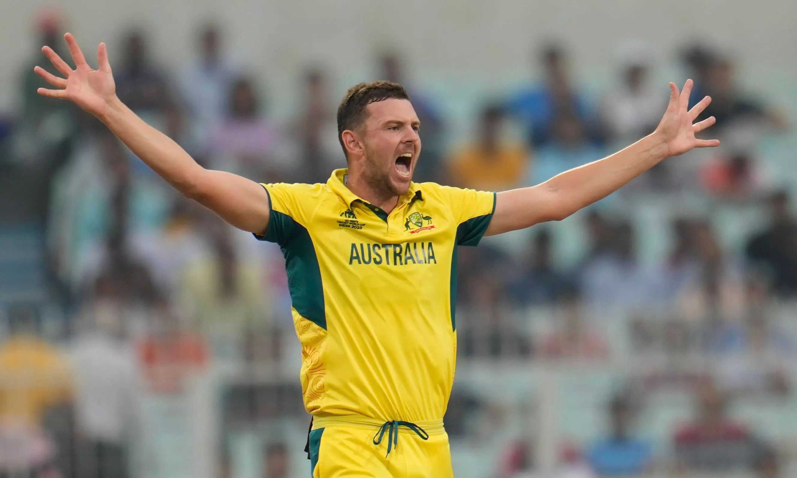 Hazlewood Wont Join Australia Squad in Early Part of T20 WC: Dodemaide